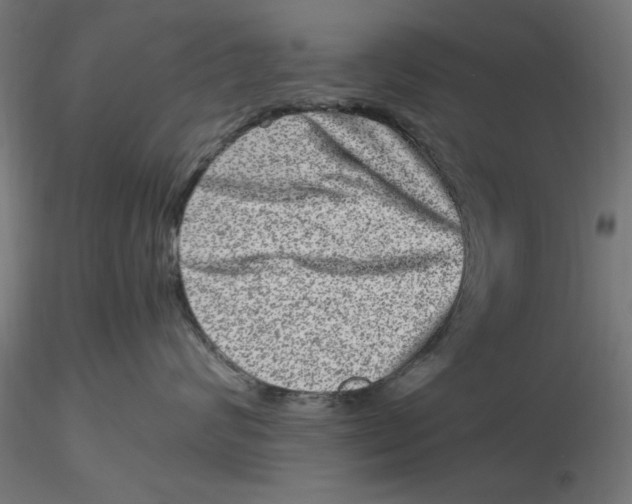 X0000116780624201001071238