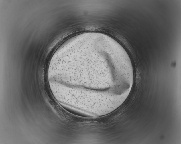 X0000116780626201001071238