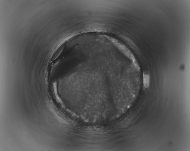 X0000116780627201001071238