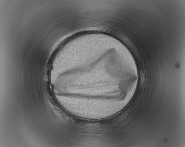 X0000116780628201001071238