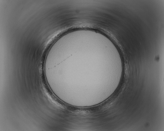 X0000116780629201001071238