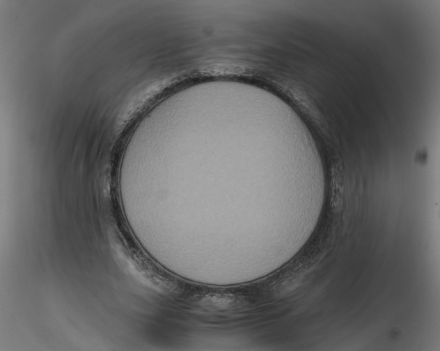 X0000116780631201001071238