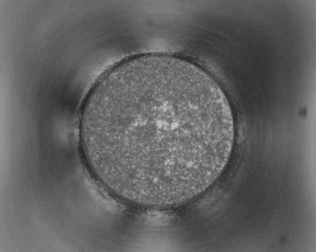 X0000116780632201001071238