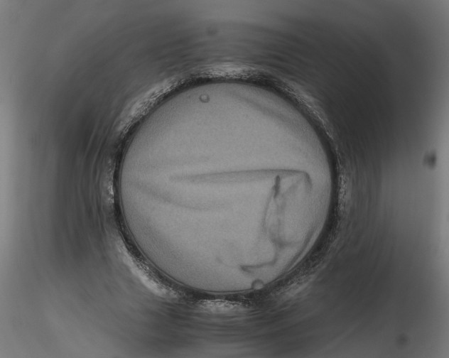 X0000116780633201001071238