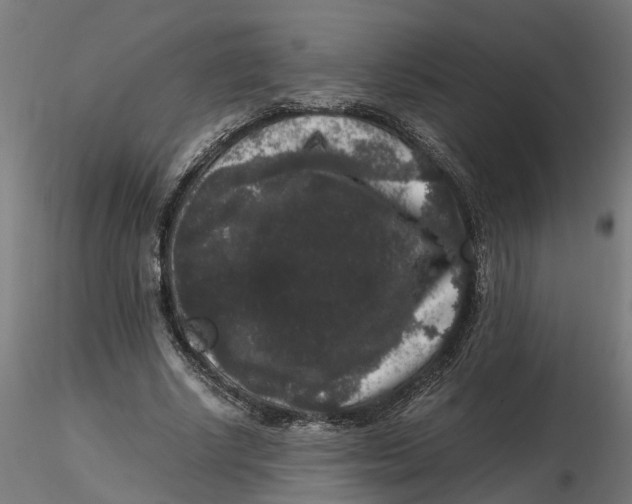 X0000116780634201001071238