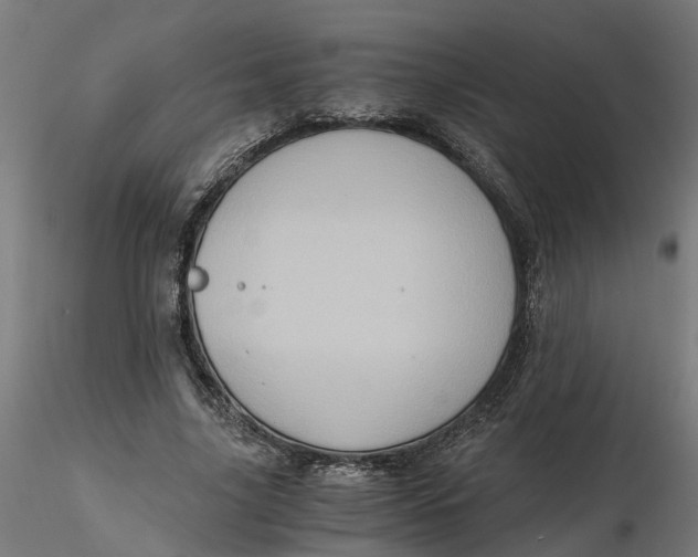 X0000116780635201001071238