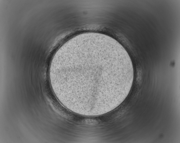 X0000116780636201001071238