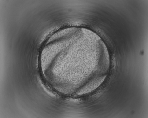 X0000116780638201001071238