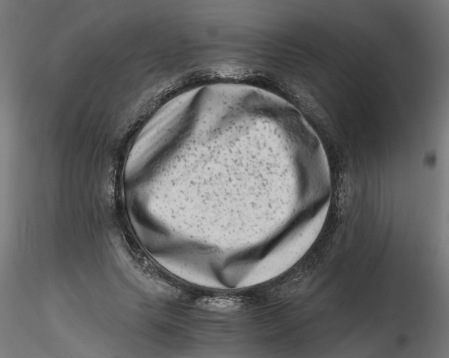 X0000116780639201001071238