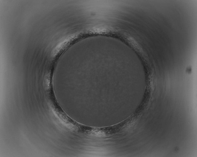 X0000116780640201001071238