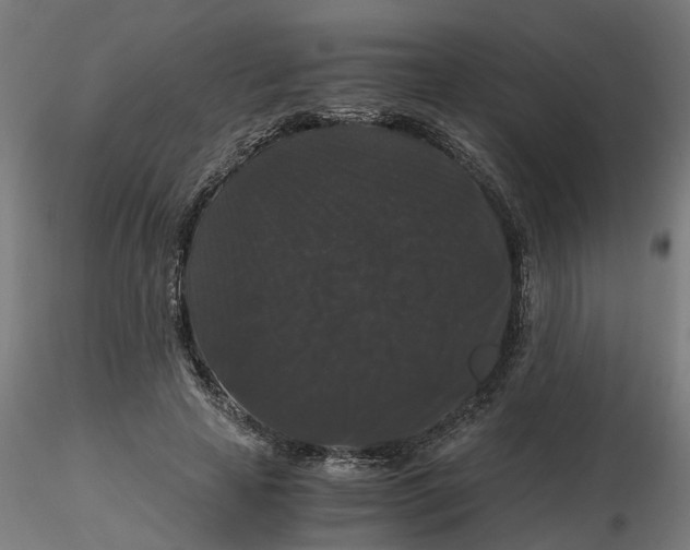 X0000116780641201001071238