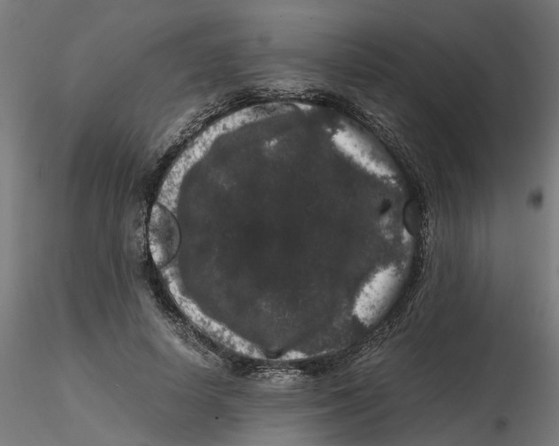 X0000116780642201001071238