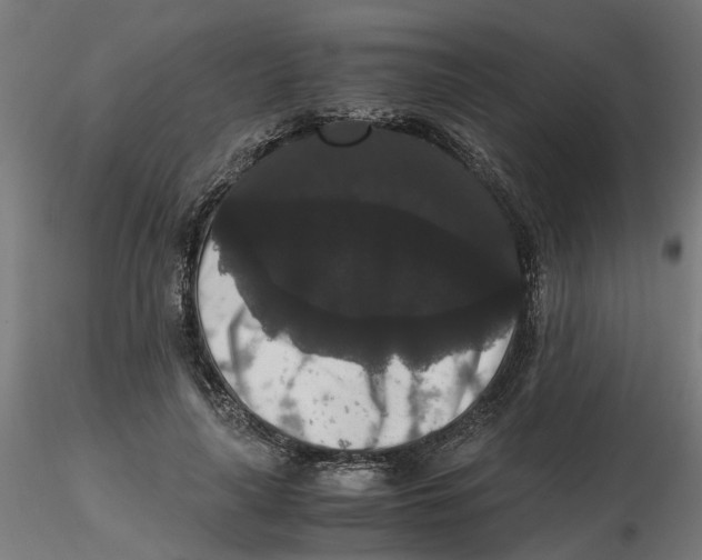 X0000116780643201001071238