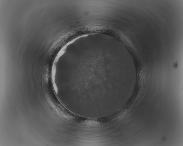 X0000116780644201001071238