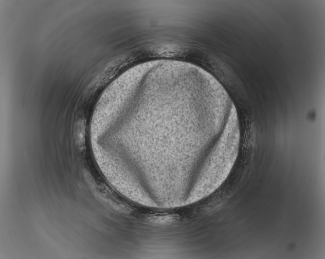 X0000116780646201001071238