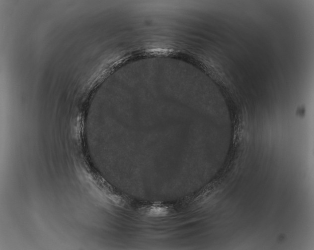 X0000116780647201001071238