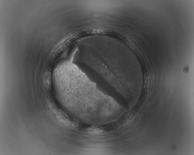 X0000116780648201001071238