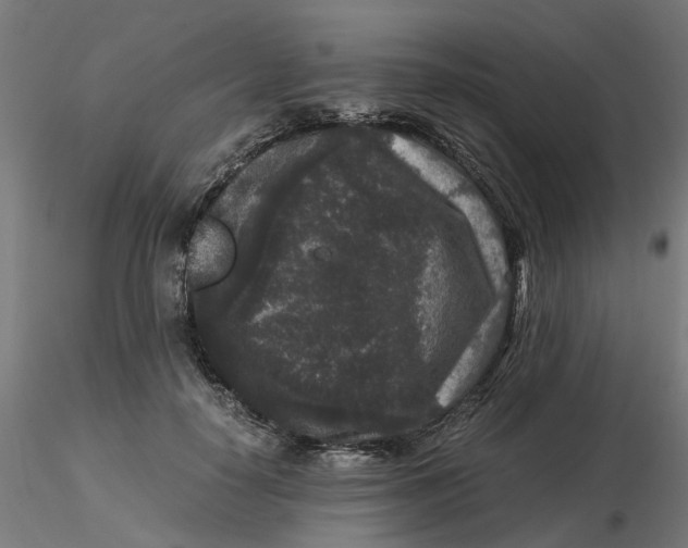 X0000116780650201001071238