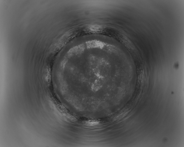 X0000116780651201001071238