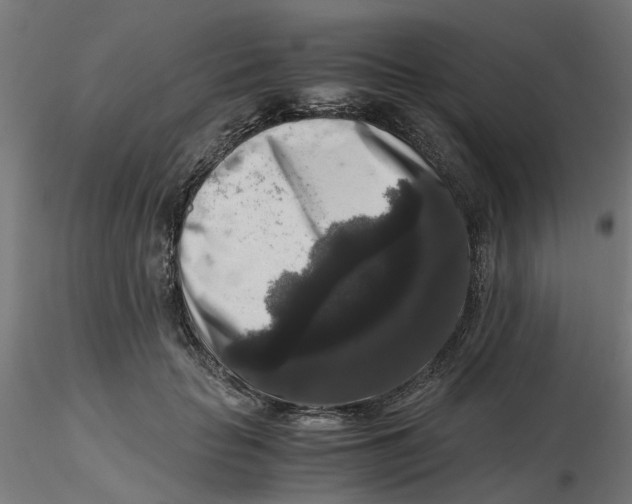 X0000116780653201001071238