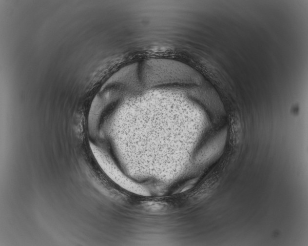 X0000116780654201001071238