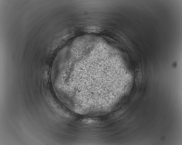 X0000116780655201001071238