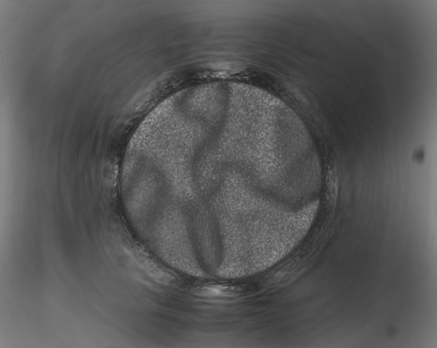 X0000116780657201001071238