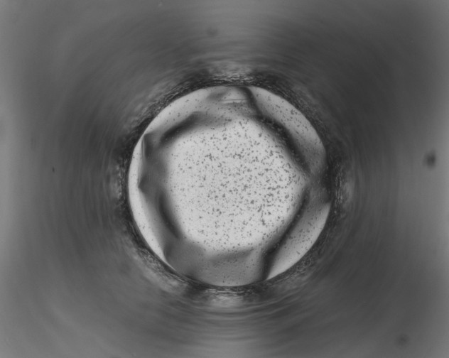 X0000116780658201001071238