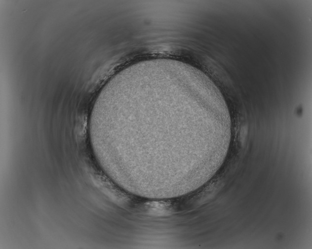 X0000116780660201001071238