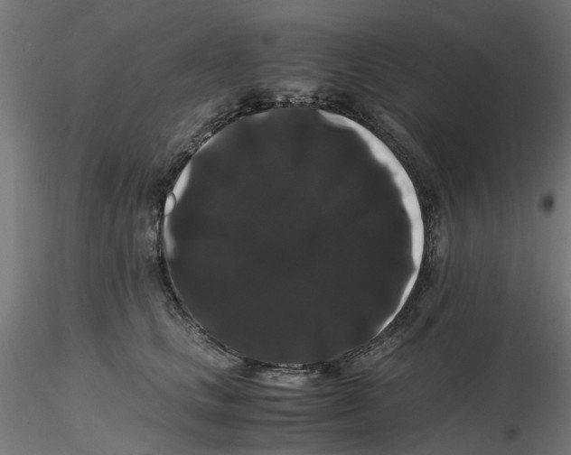 X0000116780661201001071238