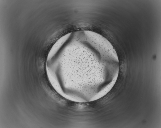 X0000116780662201001071238