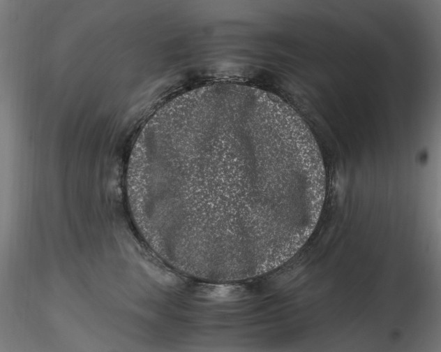 X0000116780663201001071238