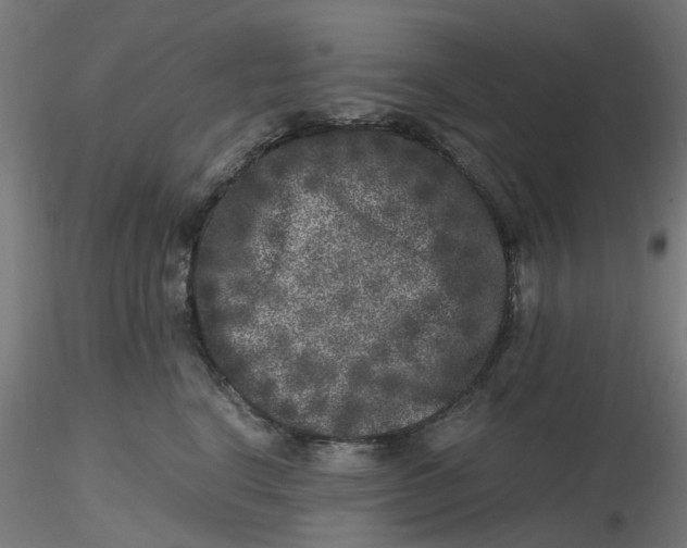 X0000116780664201001071238