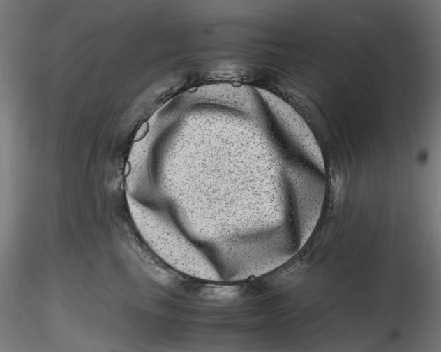 X0000116780665201001071238