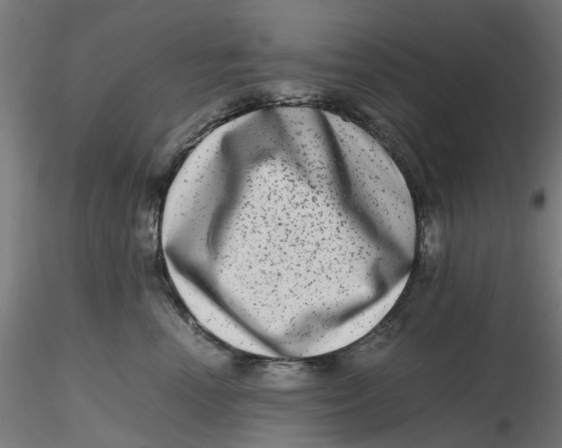 X0000116780666201001071238