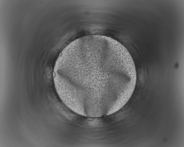 X0000116780667201001071238