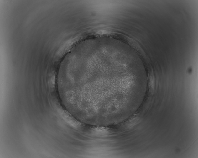 X0000116780668201001071238