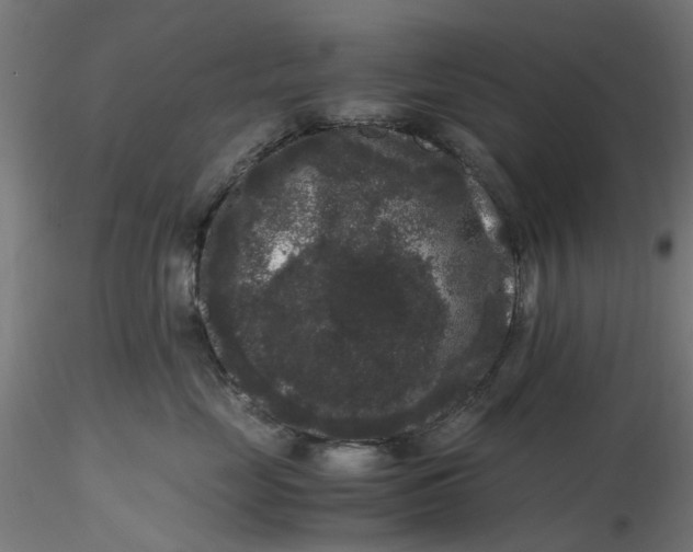 X0000116780669201001071238