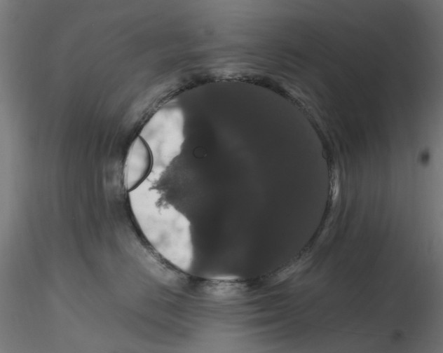 X0000116780670201001071238