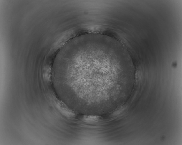 X0000116780671201001071238