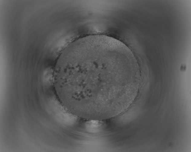 X0000116780672201001071238