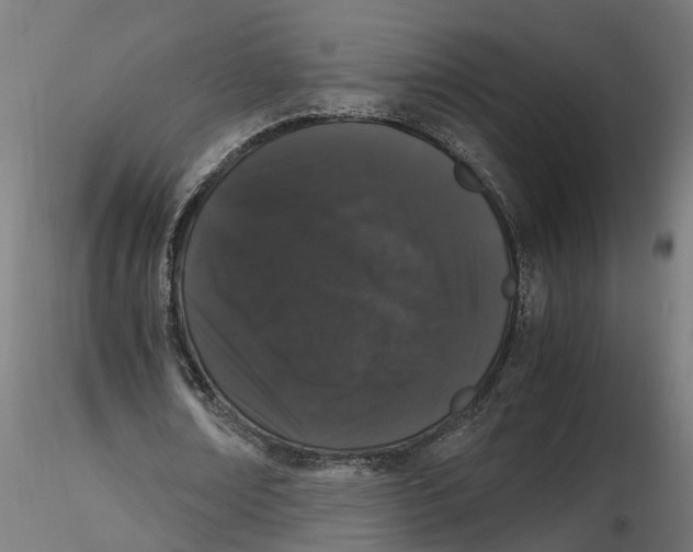 X0000116780674201001071238