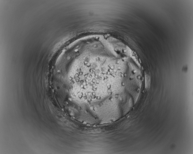 X0000116780675201001071237