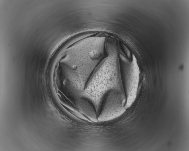 X0000116780676201001071237