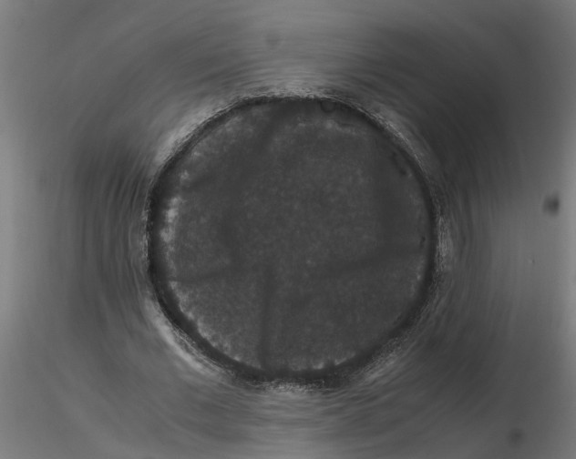 X0000116780677201001071237