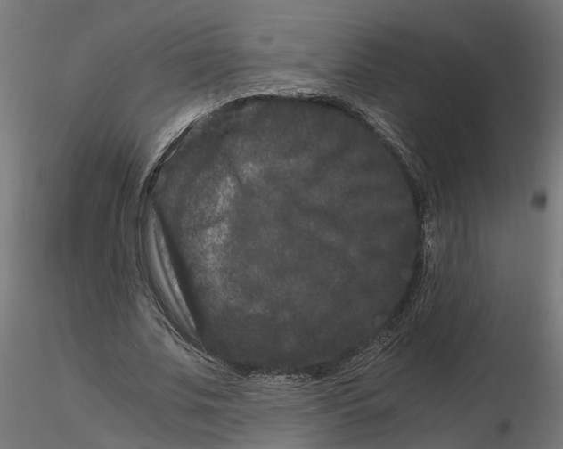 X0000116780679201001071237