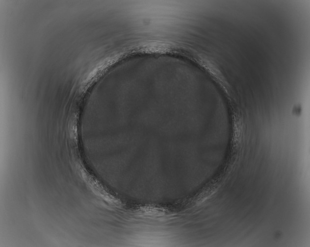 X0000116780681201001071237