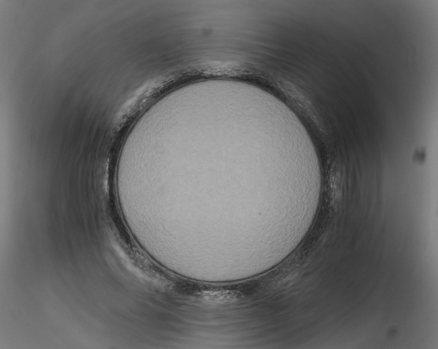 X0000116780686201001071237