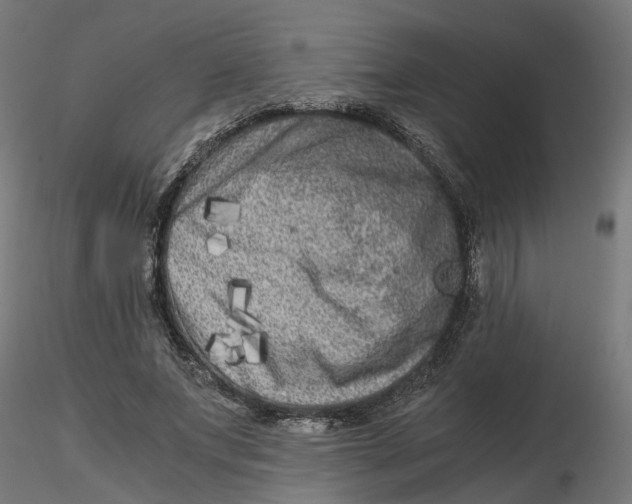 X0000116780687201001071237