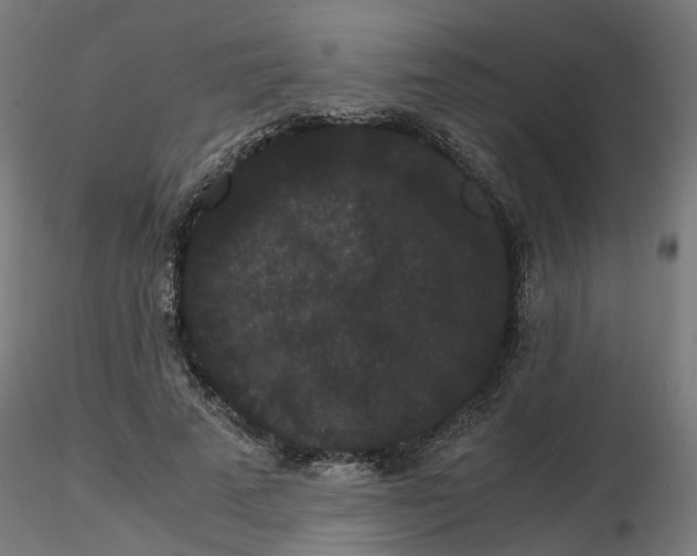 X0000116780689201001071237